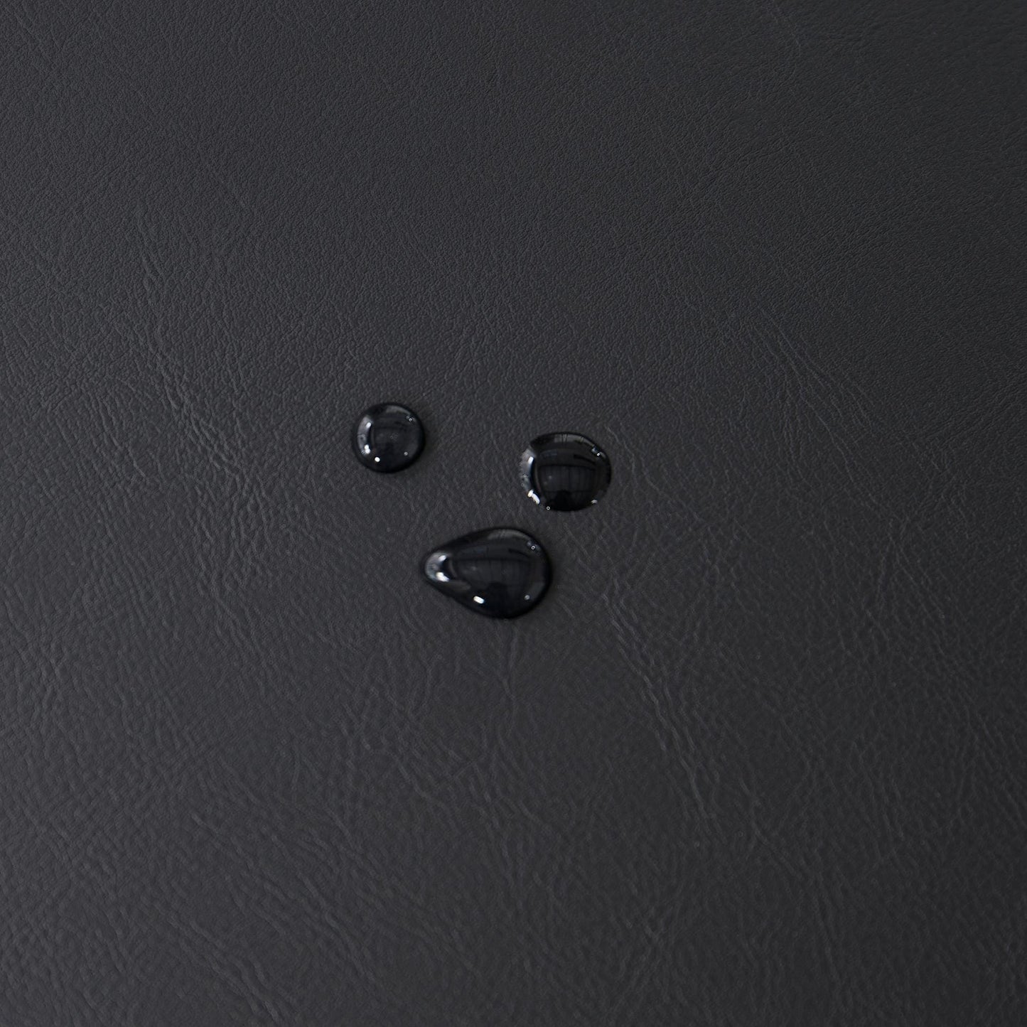 Entryway Shoe Bench Storage Bench Upholstered Bench