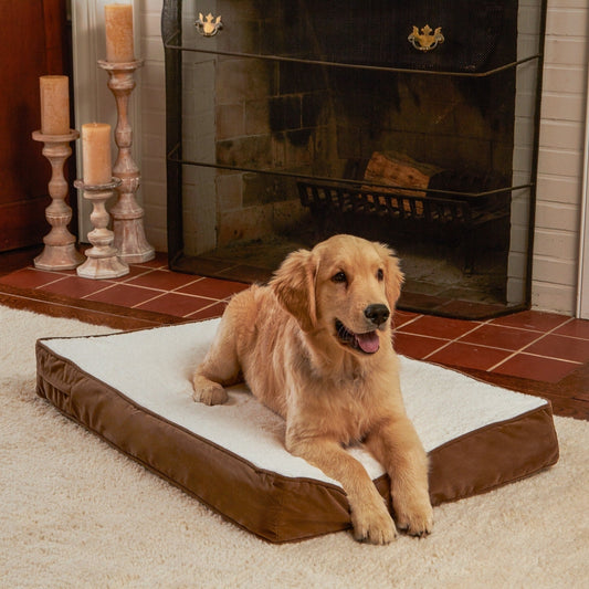 Happy Hounds Ozzie Mocha Orthopedic Dog Bed
