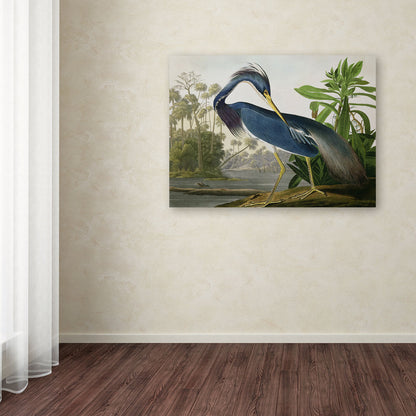 The Curated Nomad John James Audubon 'Louisiana Heron' Canvas Art