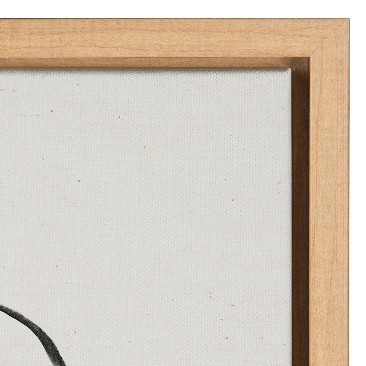 Kate and Laurel Sylvie Modern Circles Framed Canvas Set by Teju Reval