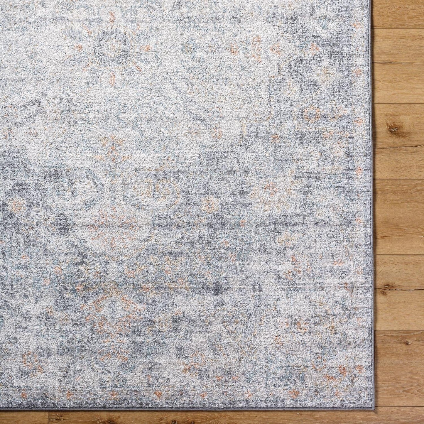 Livabliss Caressa Vintage Boho Area Rug