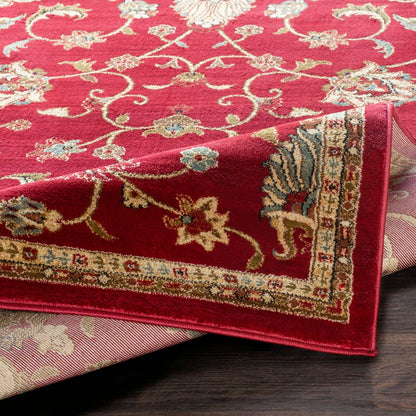 Livabliss Riley Updated Traditional Oriental Area Rug