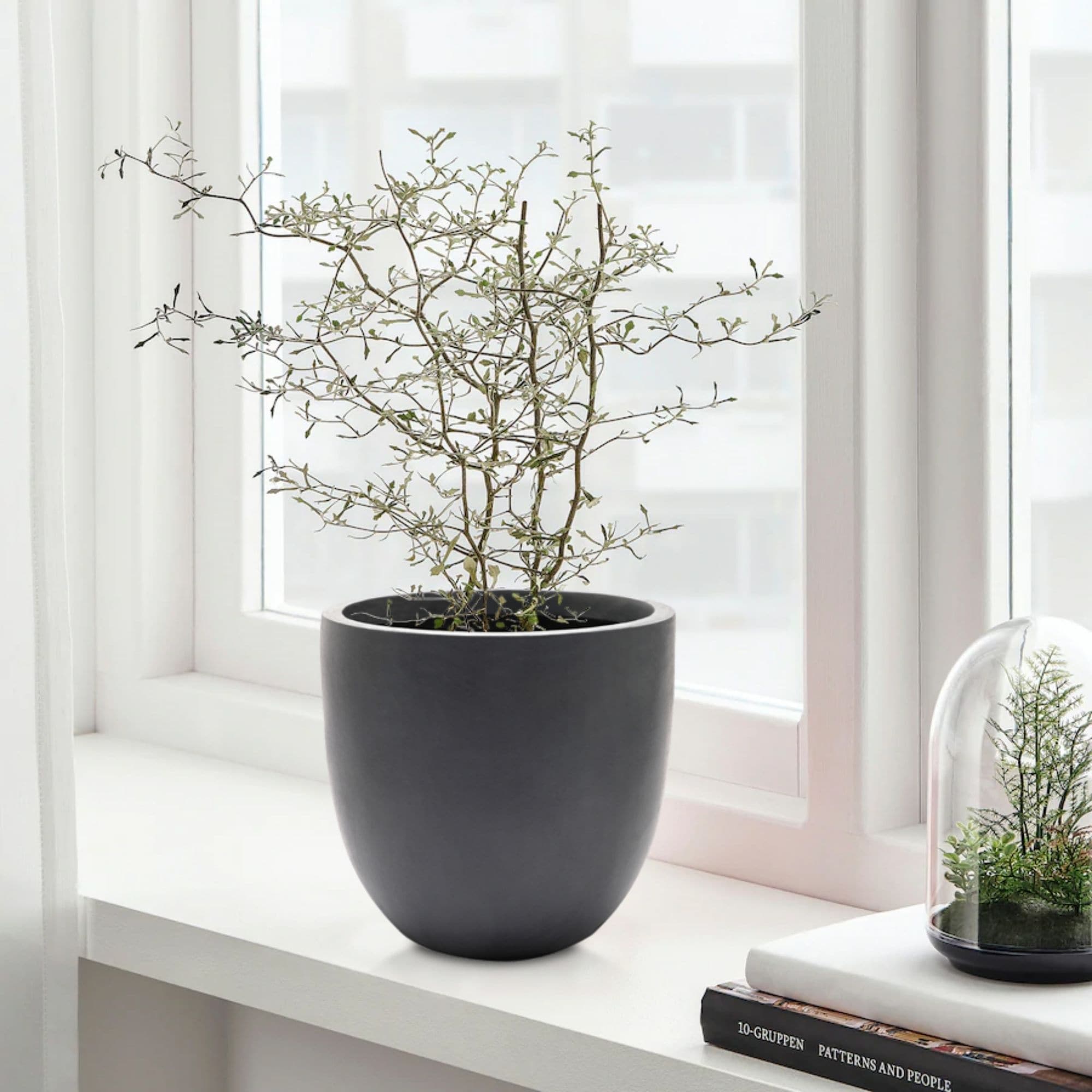 Selected Variant Image